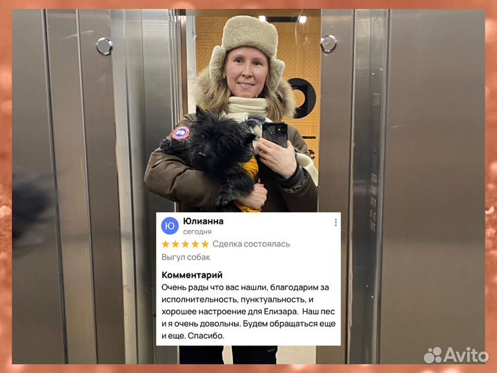 Выгул собак