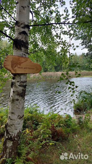 Табличка указатель на спилах