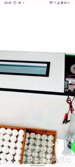 Инкубатор автоматический