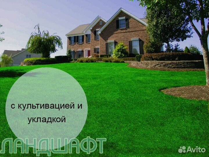 Де люкс рулонный газон от 50м2 мо