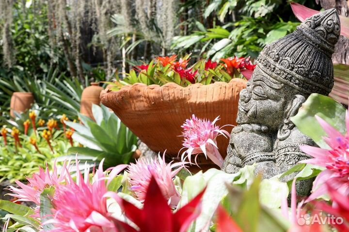 Паттайя Топ-Экскурсия Тропический сад Нонг Нуч