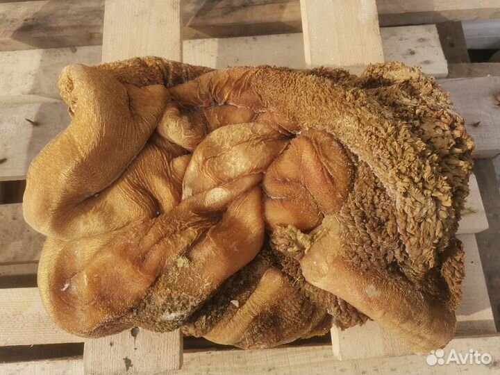 Мясо для собак(рубец,трахея,щетка, хвосты, вымя)