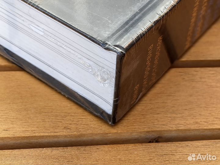 Достоевская А.Г. Федор Достоевский. Воспоминания