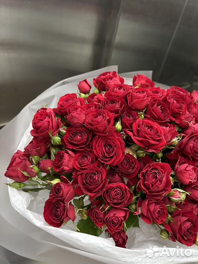 Кустовые пионовидные розы Букеты Цветы