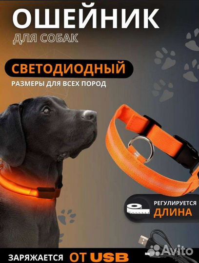 Ошейник для собак