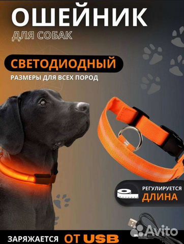 Ошейник для собак