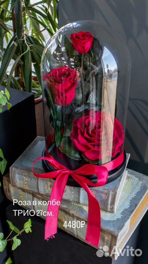 Вечная роза в колбе