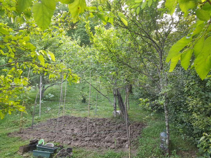 Участок 9 сот. (СНТ, ДНП)