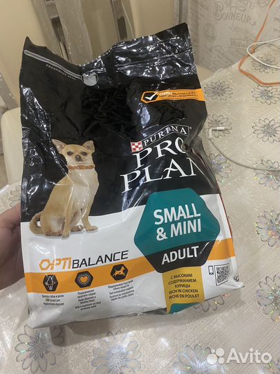 Корм для собак