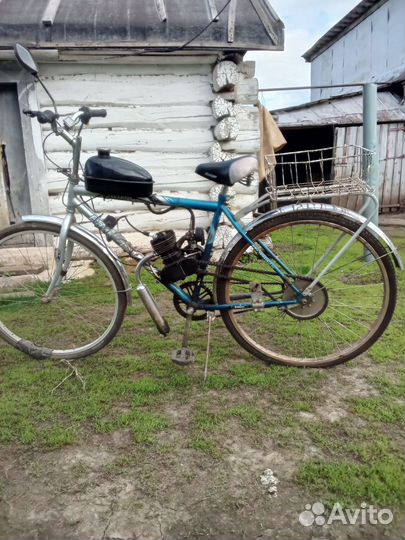 Мотовелик Байкал