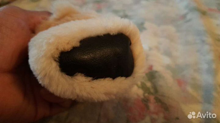 Одежда для маленьких собак