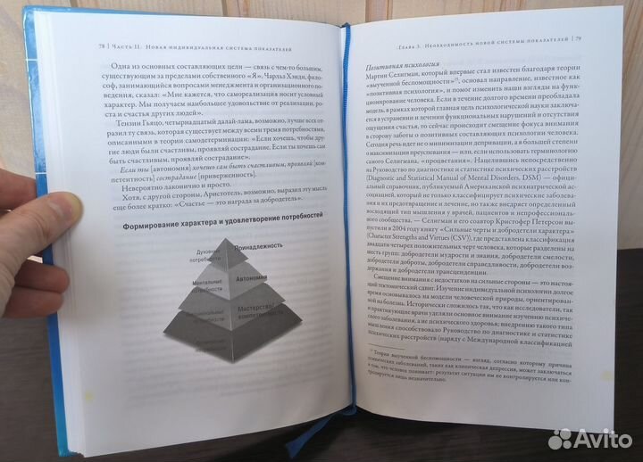 Джим Лоэр «Стратегия счастья: Как определить цель»