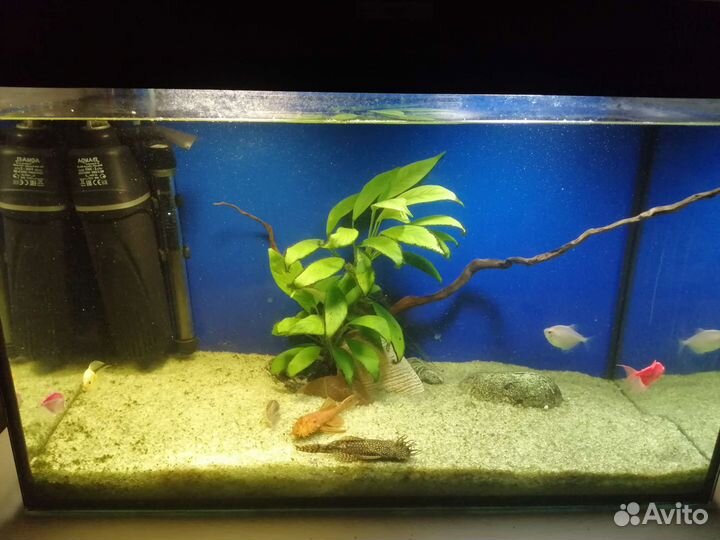 Аквариум с полным комплектом
