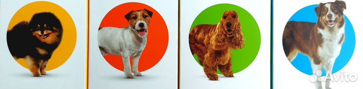 Услуга по обработке от клещей и блох