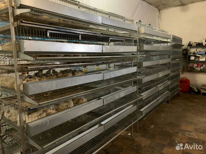 Перепелиные фермы под ключ, Фермы любой слож