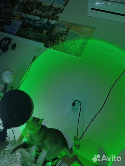 Лампа LED проектор закат