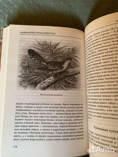 Альфред Брем жизнь животных