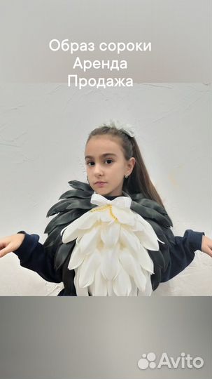 Воротники вороны,сороки