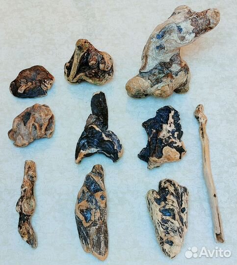 Морские стеклышки, дрифтвуд, ракушки