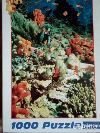 Пазлы от 1000 штук