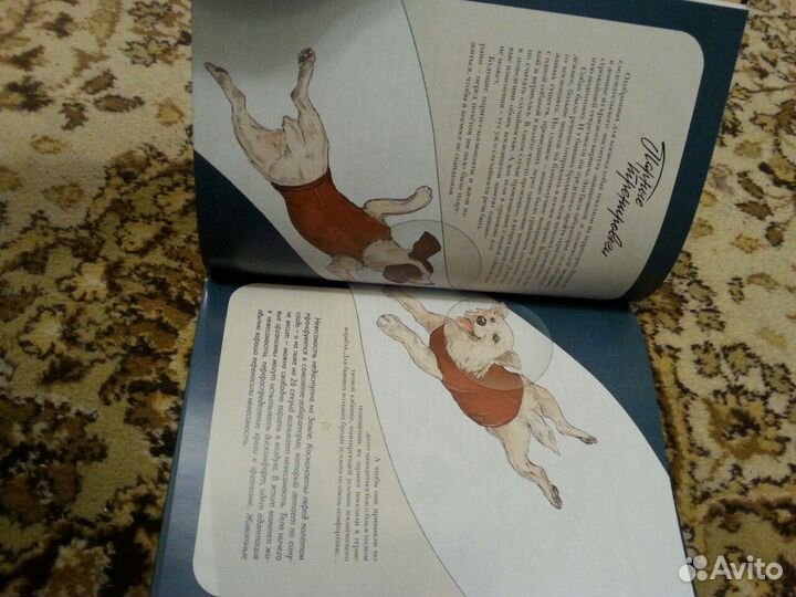 Новая книга Первые покорители космоса. Гагарин