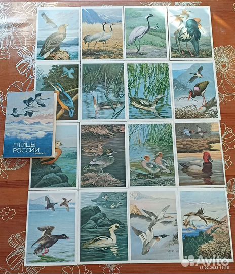 Наборы открыток СССР. Птицы России. Байкал