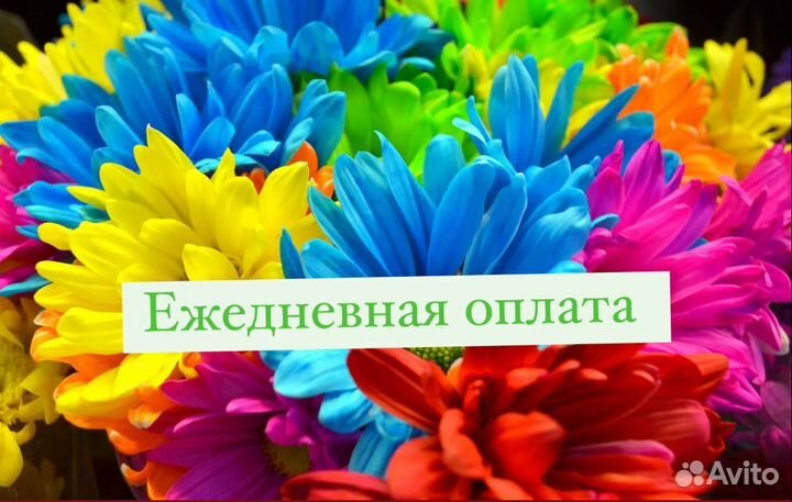 Упаковщица подработка ежедневная оплата
