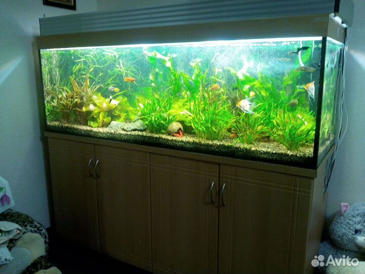 Аквариум с тумбой 500 литров