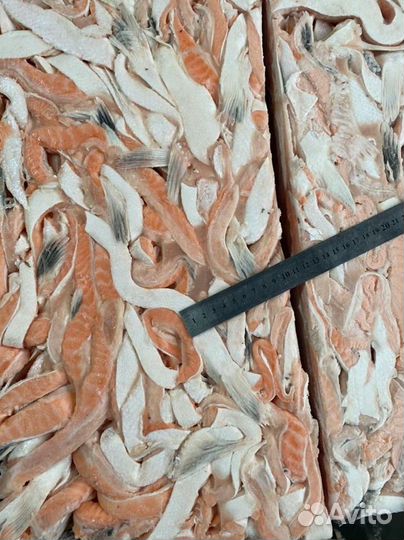 Рыба филе семги, лосось, форель