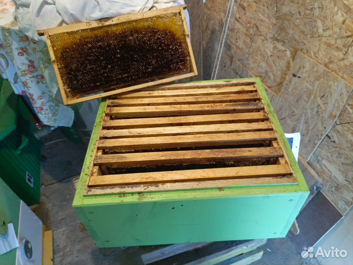 Продается пасека