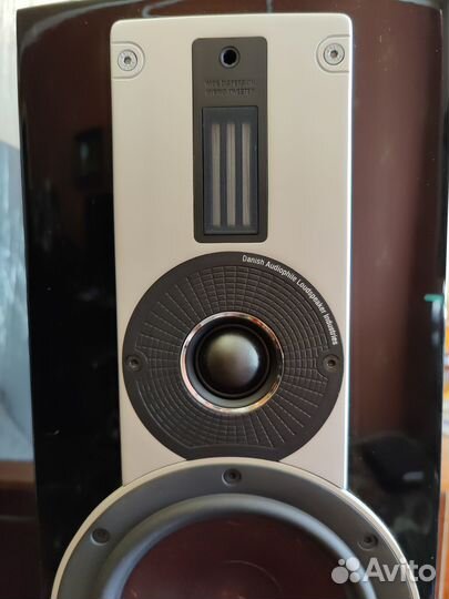 Акустика Dali rubicon 6