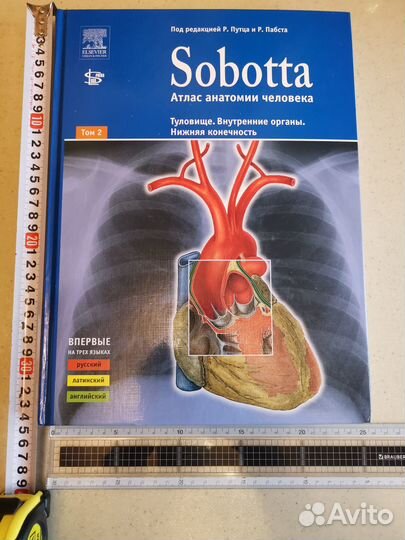 Sobotta атлас анатомии человека Том2