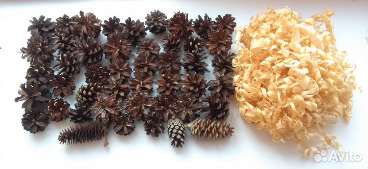 Шишки сосновые