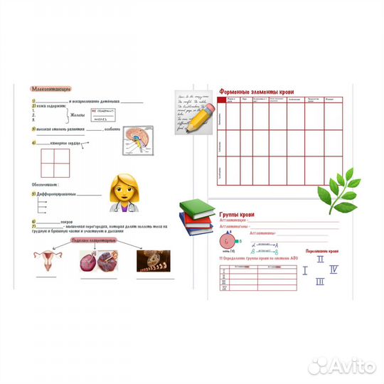 Репетитор по биологии, химии
