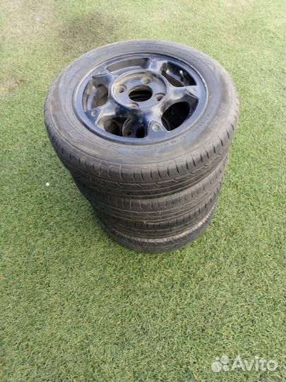 AMP Mud Terrain Attack M/T 13 R13