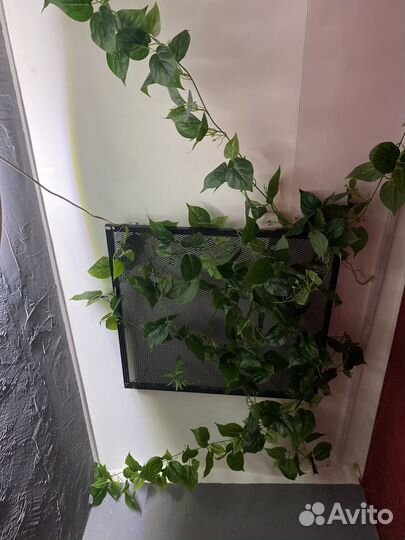 Готовый бизнес по кафе или бар