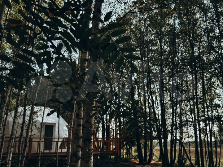 Дом 30 м² на участке 30 сот.