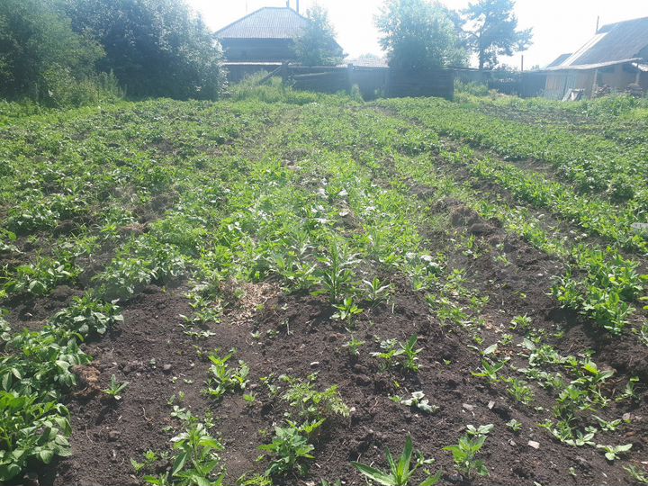 Дом 26 м² на участке 20 сот.