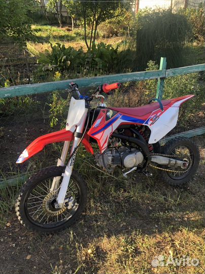 Apollo RXF freeride 160