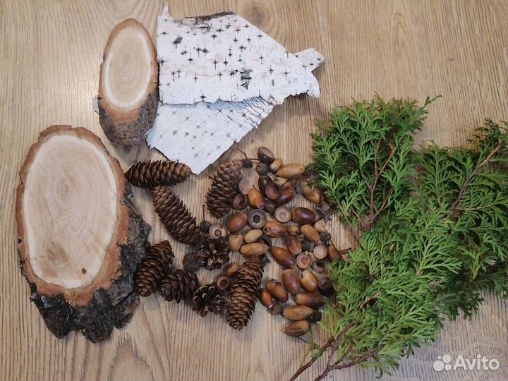 Желуди, спилы для поделок