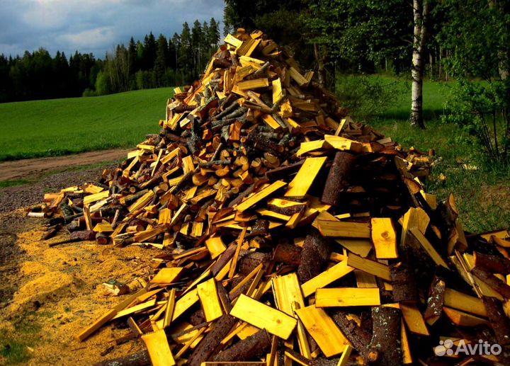 Дрова без грибка