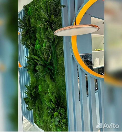 Мох стабилизированный фитостена фитокартина