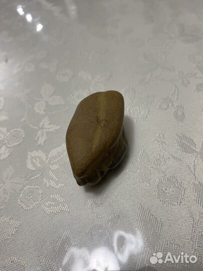 Живая кремнивая форма жизни