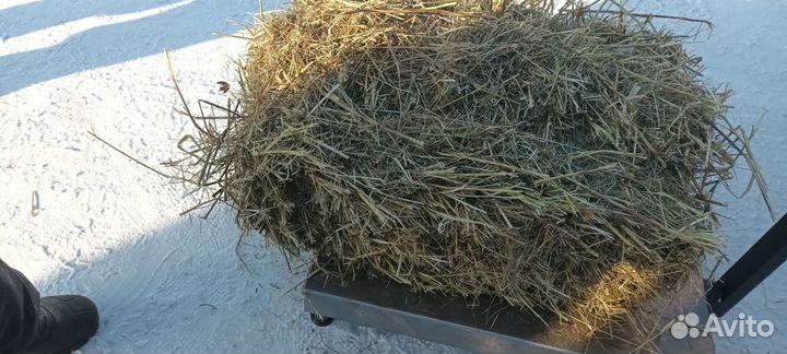 Сено в тюках