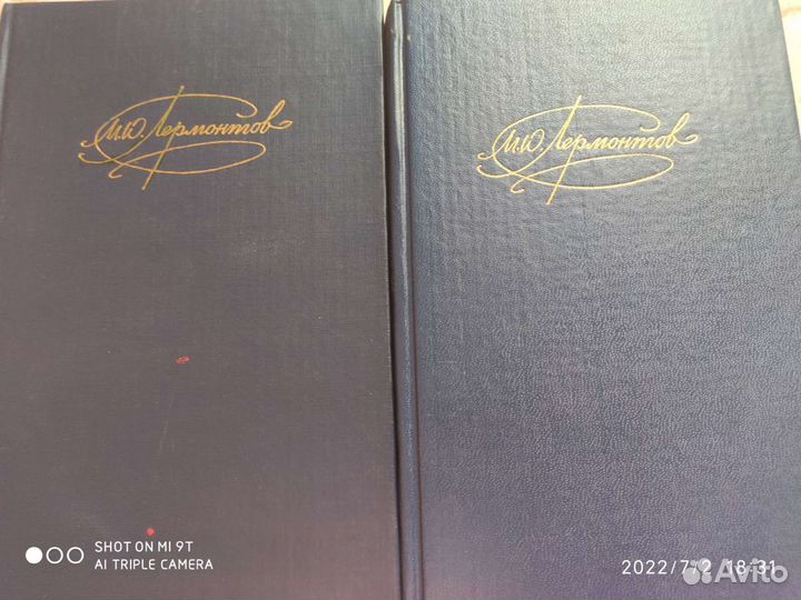 М.Ю.Лермонтов-2 тома