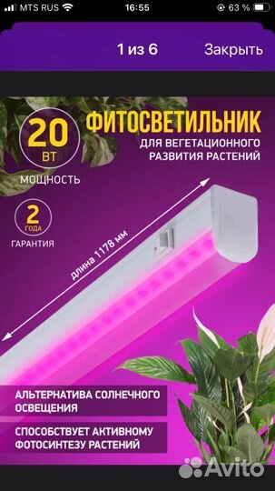 Фитолампа для растений