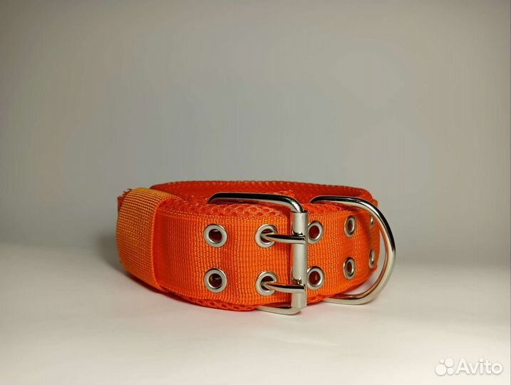 Ошейники для собак