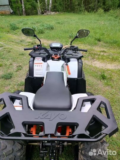 Kayo bull 3c