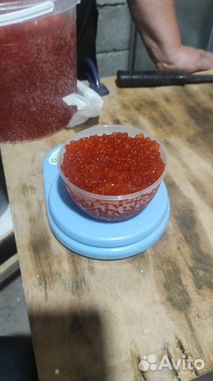 Красная икра