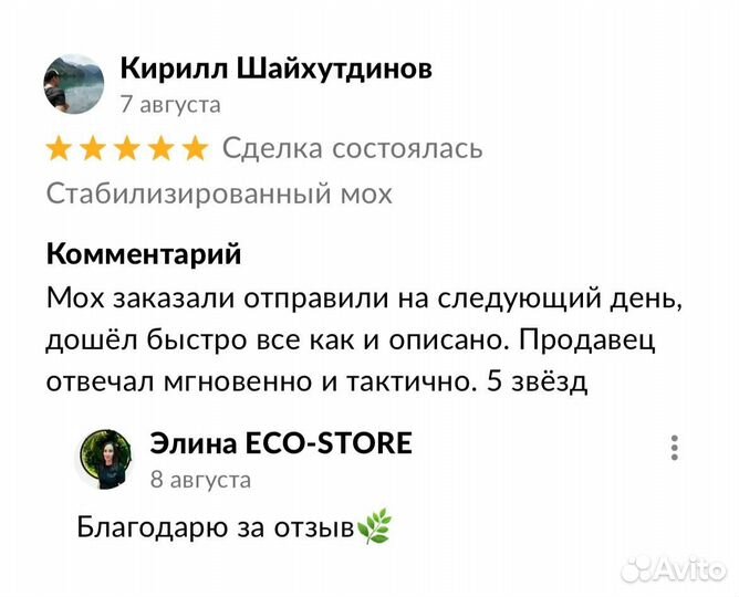 Название кафе из мха ягеля